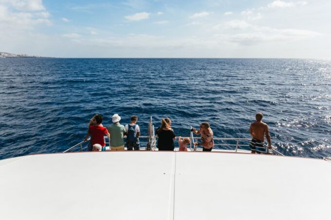Adeje: Whale and Dolphin Watching With Lunch and Swimming - Drop-off Locations