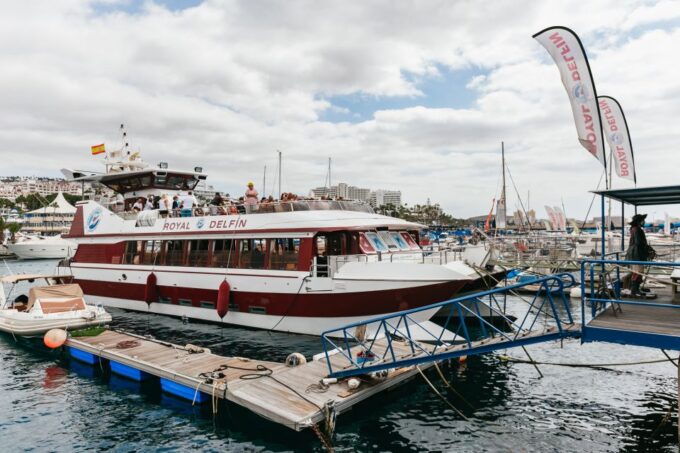 Adeje: Whale and Dolphin Watching With Lunch and Swimming - Recommended Attire and Gear