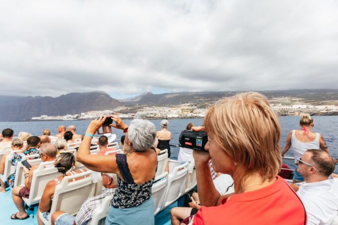 Adeje: Whale and Dolphin Watching With Lunch and Swimming - Important Considerations