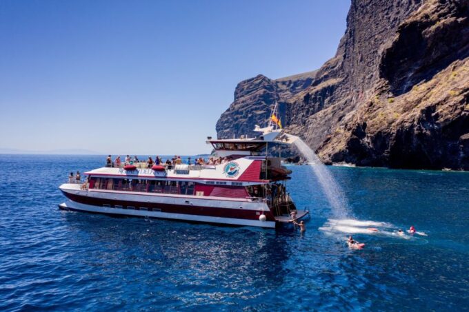 Adeje: Whale and Dolphin Watching With Lunch and Swimming - Frequently Asked Questions