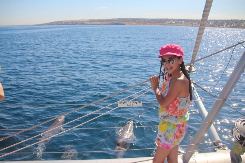 Adelaide: 3.5-Hour Guaranteed Wild Dolphin Watching Cruise - Key Points