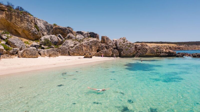 Adelaide: 3-Day Kangaroo Island Adventure Tour With Camping - Highlights of the Adventure