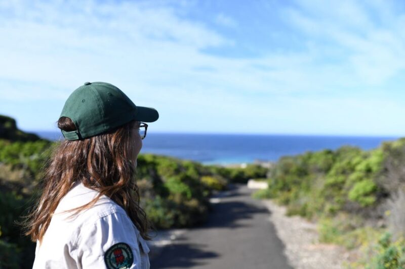 Adelaide: 3-Day Kangaroo Island Adventure Tour With Camping - Detailed Itinerary