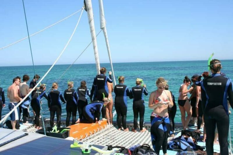 Adelaide: 4-Hour Swimming with Dolphins Experience - Authentic Feedback from Travelers
