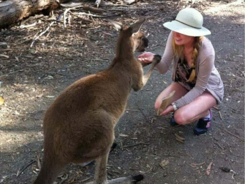 Adelaide: Barossa Day Out: Wines, Brewery, Chocolate & Lunch - Frequently Asked Questions