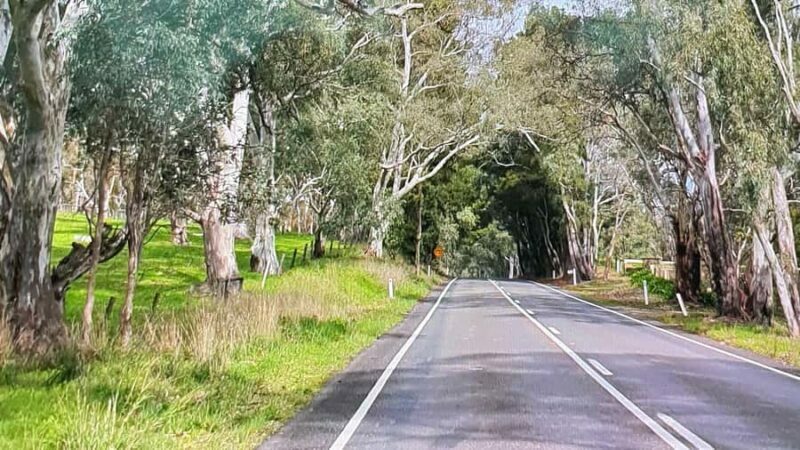 Adelaide City Highlights Full-Day Tour - A Balanced Look at the Adelaide City Highlights Full-Day Tour
