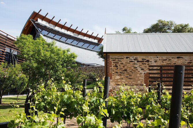 Adelaide City Highlights Tour - Tour Availability