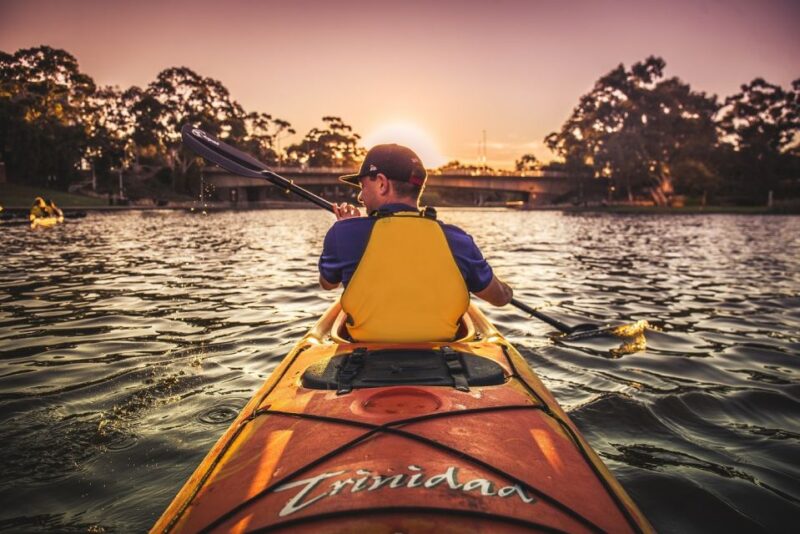 Adelaide: City Kayaking Experience - Pricing and Reservation