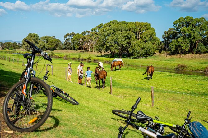 Adelaide City to Sea Bike Tour - Cycling Route Highlights