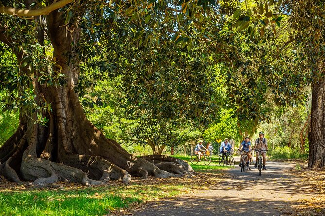 Adelaide City to Sea Bike Tour - Start Time and Meeting Point