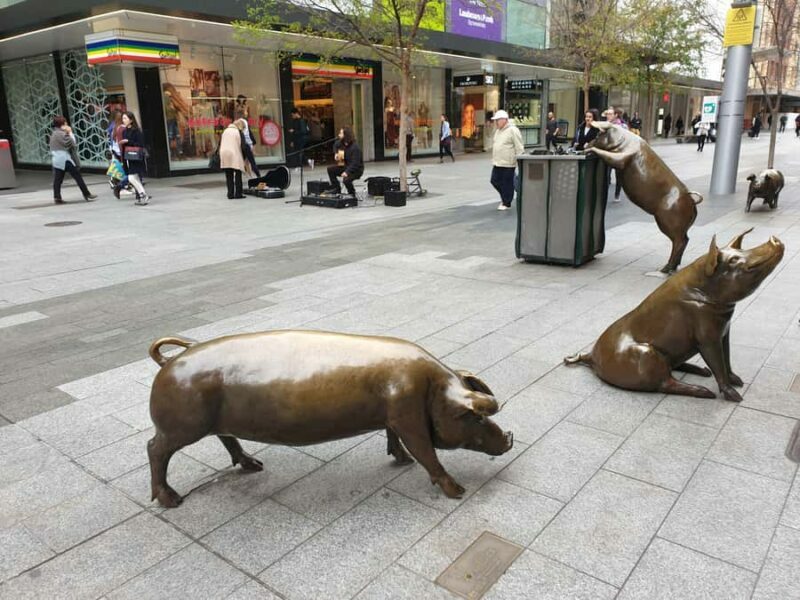 Adelaide: City Walking Tour with Guide - Final Word