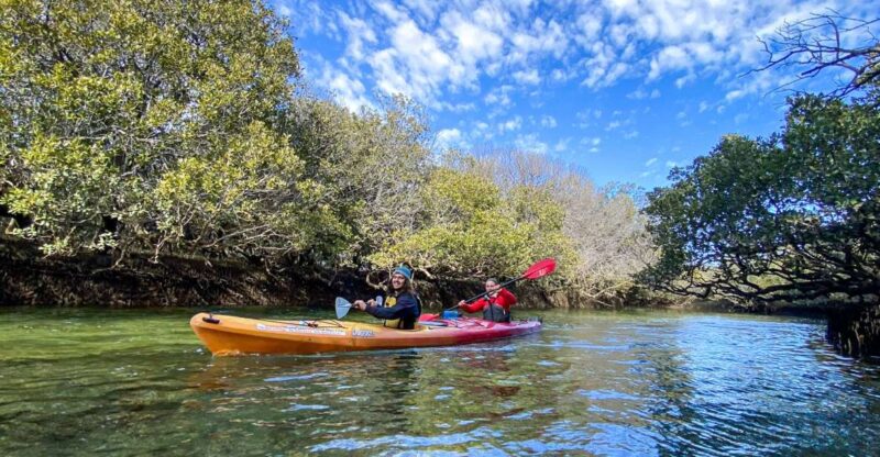 Adelaide: Dolphin Sanctuary 1 or 2-Person Kayak Rental - Exploring the Sanctuary