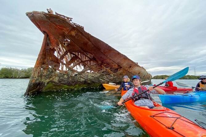 Adelaide Dolphin Sanctuary and Ships Graveyard Kayak Tour - Whats Included
