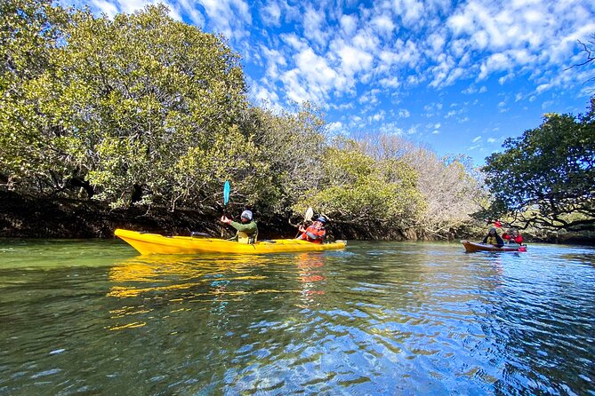 Adelaide Dolphin Sanctuary and Ships Graveyard Kayak Tour - Additional Information
