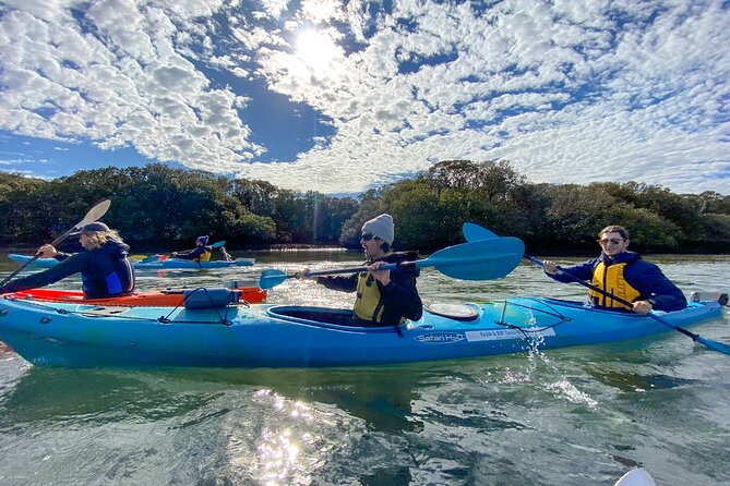 Adelaide Dolphin Sanctuary and Ships Graveyard Kayak Tour - Wildlife and Scenery