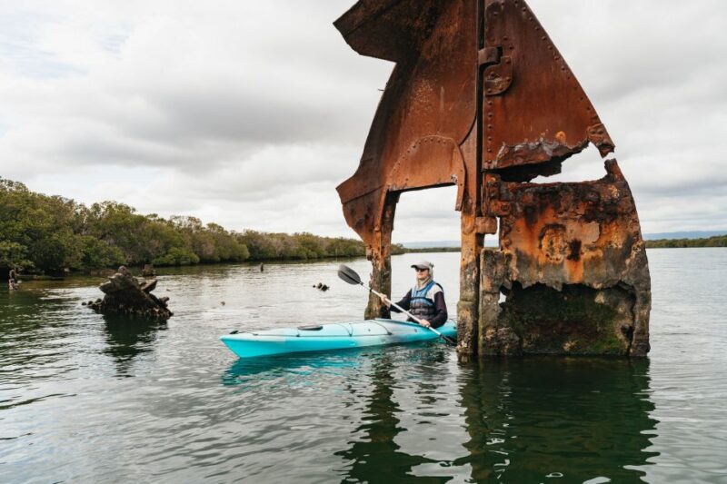Adelaide: Dolphin Sanctuary Eco Kayaking Tour - Experience Highlights
