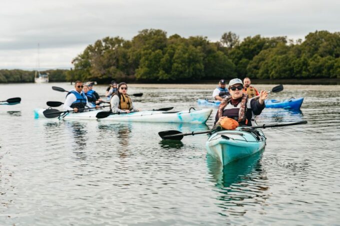 Adelaide: Dolphin Sanctuary Eco Kayaking Tour - Activity Description