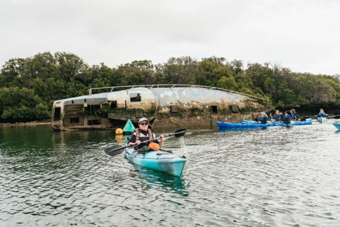 Adelaide: Dolphin Sanctuary Eco Kayaking Tour - Pricing and Availability