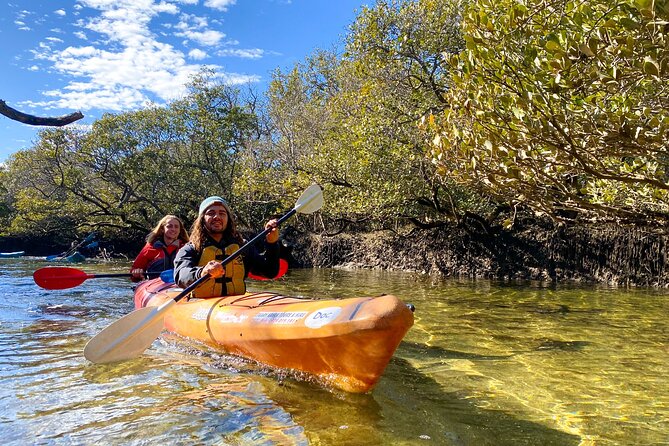 Adelaide Dolphin Sanctuary Mangroves Kayaking Tour - Inclusions