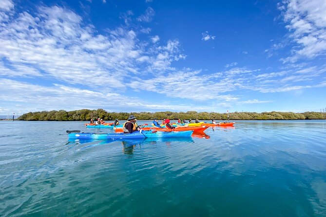 Adelaide Dolphin Sanctuary Mangroves Kayaking Tour - Meeting Point and Logistics