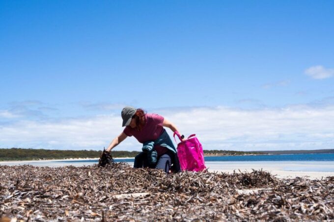 Adelaide: Eyre Peninsula and Flinders Ranges Adventure Trip - Accommodation and Meals