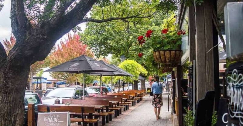 Adelaide: Full-Day Private City Tour With Hotel Transfers - Adelaide Hills Visit