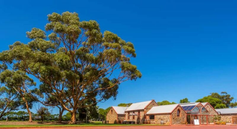 Adelaide: Half-day McLaren Vale & Glenelg Wine Tasting Tour - The Real Highlights: What Travelers Love