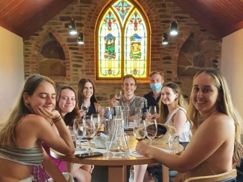 Adelaide: Highlights, Hahndorf, & McLaren Vale Wine Tastings - Mount Lofty Panoramic Views