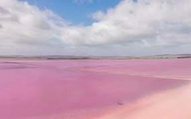 Adelaide Highlights: Wine, Whispering Wall & Pink Lake Tour - Key Points