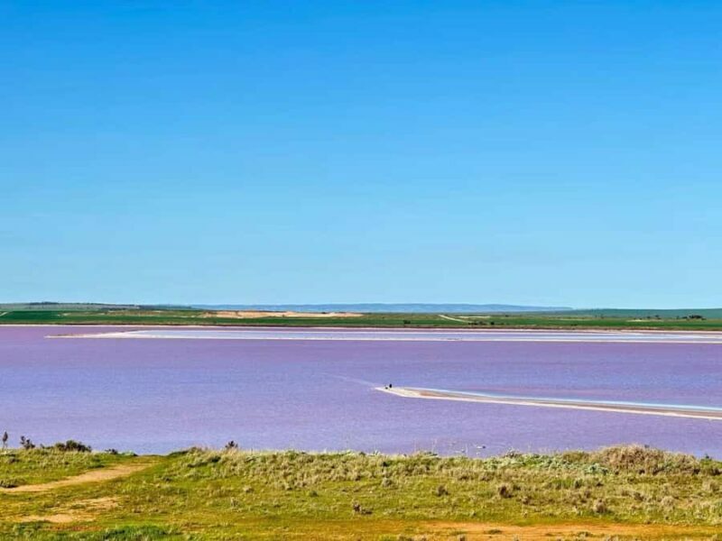 Adelaide Highlights: Wine, Whispering Wall & Pink Lake Tour - An Introduction to the Adelaide Highlights Tour