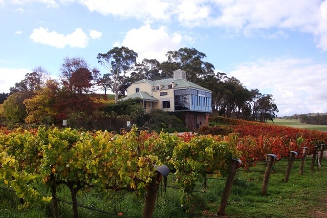 Adelaide Hills Day Tour. Winery Cellar Doors - Winery Highlights