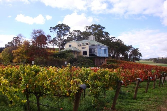 Adelaide Hills Day Tour. Winery Cellar Doors - Inclusions and Exclusions