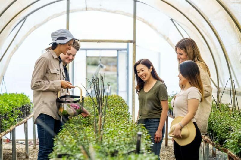 Adelaide Hills: Jurlique Farm Tour - FAQ