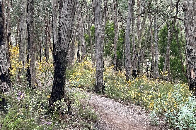 Adelaide Hills Nature Highlights Self-Guided e-Bike Tour - Introduction: An Ideal Mix of Nature, Culture, and Adventure