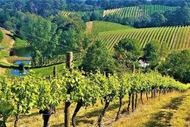Adelaide Hills Private Day Tour - Pickup and Timing