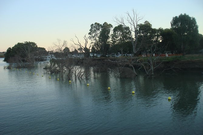 Adelaide Hills Tour With River Murray Lunch Cruise - Customer Feedback
