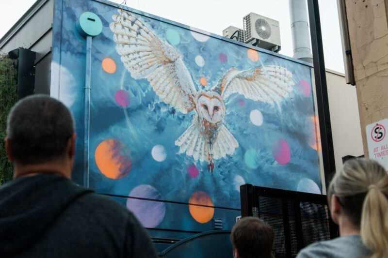 Adelaide: James Cochran Street Art Tour - Experience Highlights