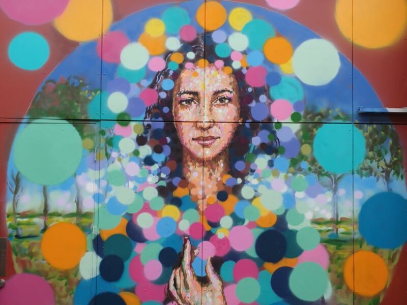 Adelaide: James Cochran Street Art Tour - What to Bring