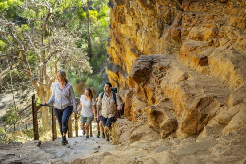 Adelaide: Morialta Wilderness and Wildlife Hike - Key Points