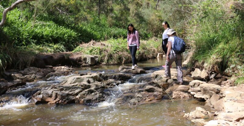 Adelaide: Morialta Wilderness and Wildlife Hike - Highlights of the Experience