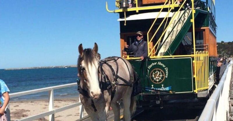 Adelaide: South Australia Guided Full-Day Highlights Tour - Key Points