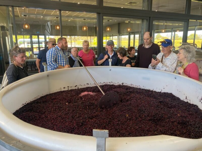 Adelaide: the Barossa Valley Premium Wine Tour With Lunch - Inclusions