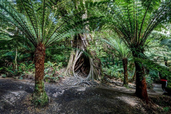 Adelaide to Melbourne 3-Day Trip Grampians and Great Ocean Road - Key Points