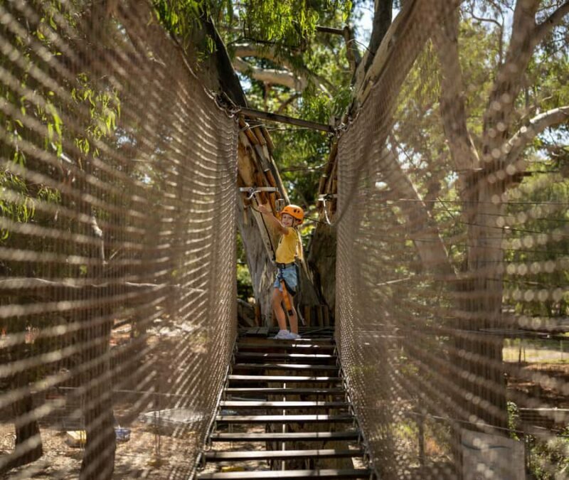 Adelaide: TreeClimb Adelaide Climb For Little Adventurers - An In-Depth Look at the Experience