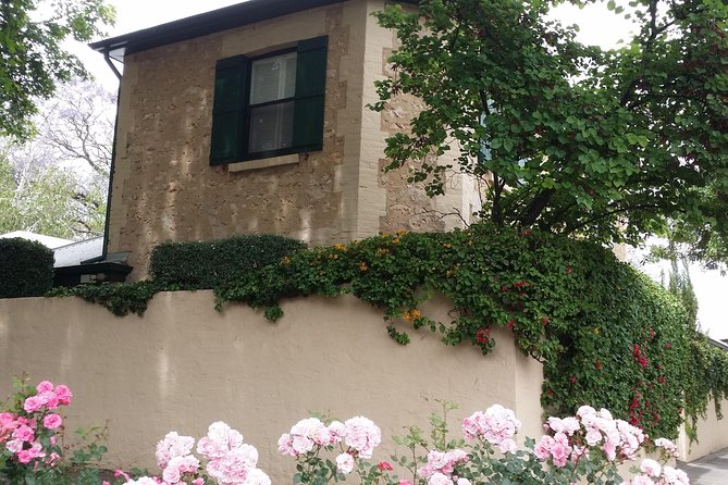 Adelaide Walking Tour: Grand Mansions and Sub-Divisions - Experience for Locals and Tourists