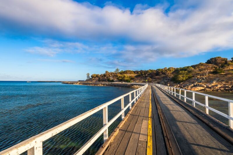 Adelaide: Wine and Wildlife 4WD Tour - McLaren Vale Wine Region