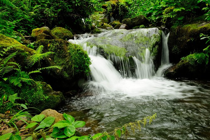 Adjarian Mountains Waterfalls Wine Tour Best Views From Batumi Kobuleti - Crossing the Historic Queen Tamaras Arch