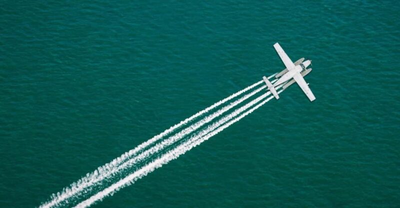 Admire the Beauty of Ha Long Bay From Above by Seaplane - Sightseeing Highlights