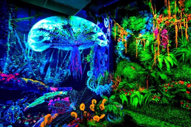 Admission Ticket for Dark Mansion Glow-in-the-Dark Museum in Penang - Key Points