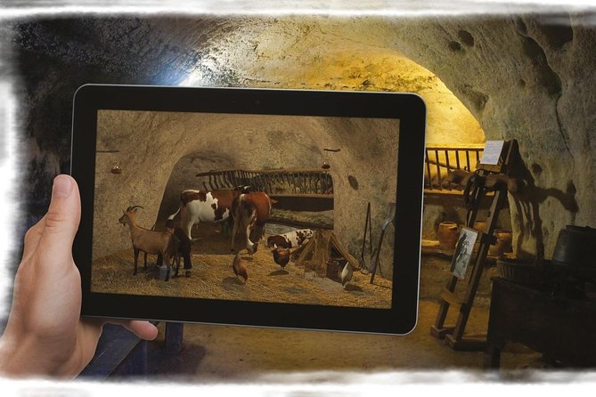 Admission Ticket for the Rochemenier Troglodyte Cave Museum Village - Visiting Hours and Seasons